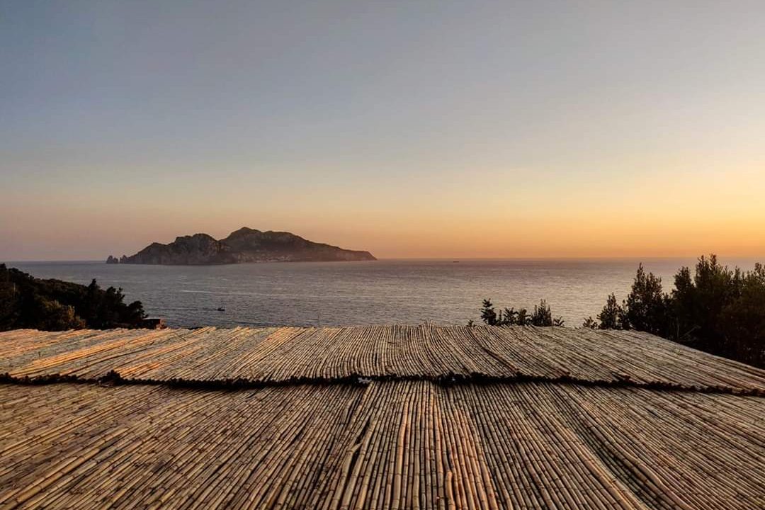 L'escargot Slow Art - Ivana Porcini