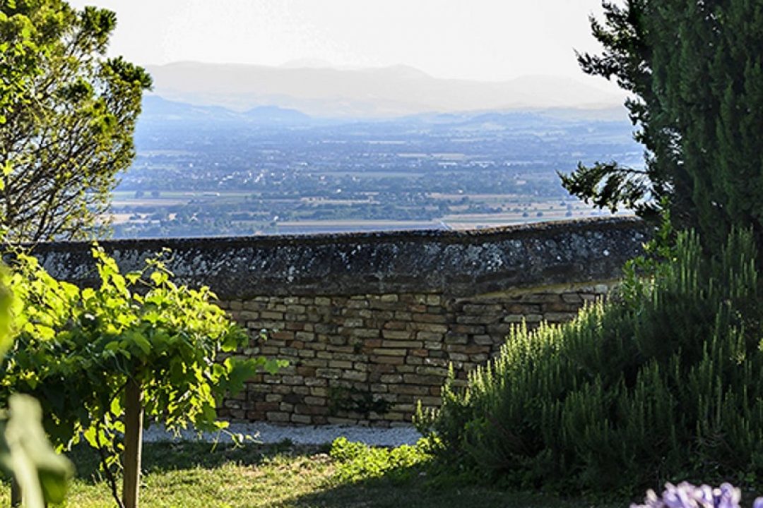 Il nuovo Rinascimento delle giornate FAI di Primavera