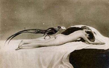 Richard Müller: l’oltremondo visionario e cinico di un artista scomodo